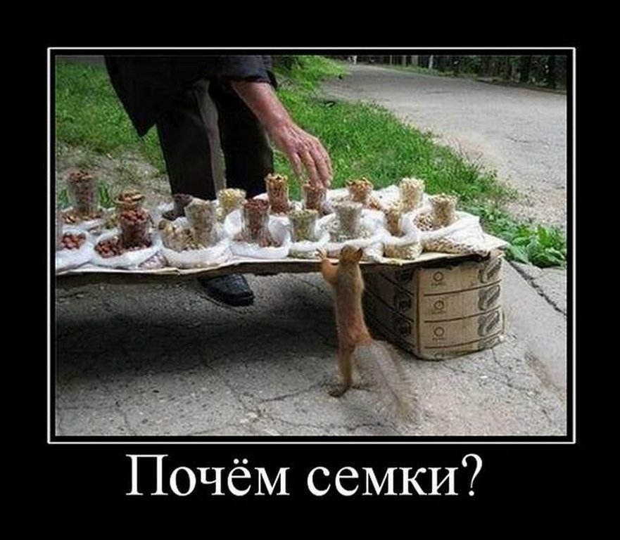 Почем получишь. Смешные демотиваторы до слез. Очень Веселые демотиваторы. Демотиватор смешные люди. Самые первые демотиваторы.