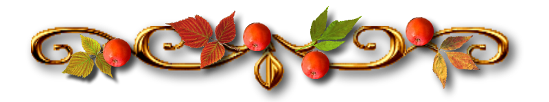 9562030.png