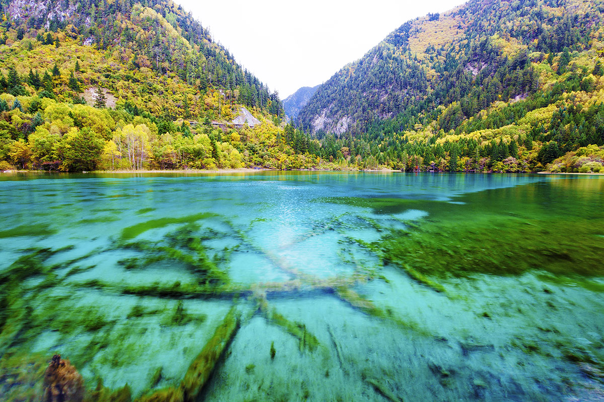 Парк 5 озер. Долина Цзючжайгоу Китай. Долина Цзючжайгоу, Сычуань, Китай. Озера Долины Цзючжайгоу. Национальный парк Цзючжайгоу (провинция Сычуань).